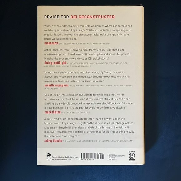 DEI Deconstructed by Lily Zheng - Picture 5 of 5